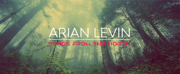 Arian levin3
