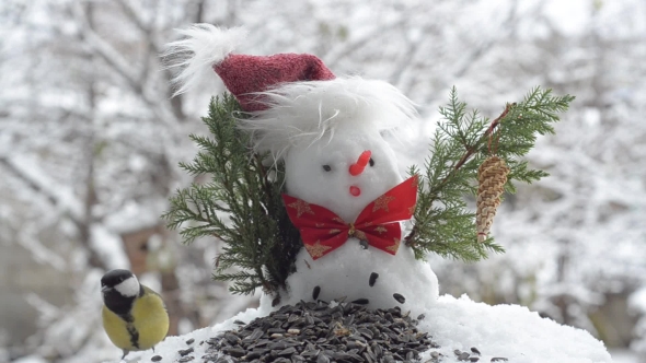 Christmas Snowman and Birds alt