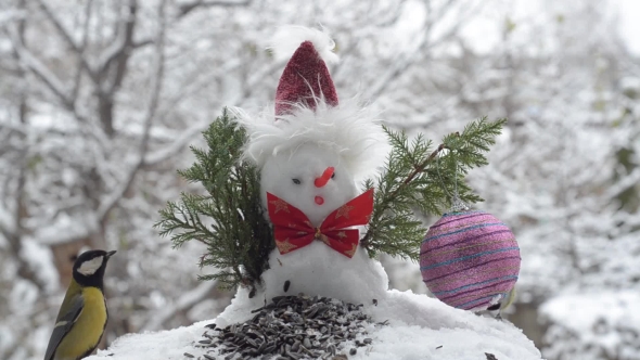 Christmas Snowman and Birds alt