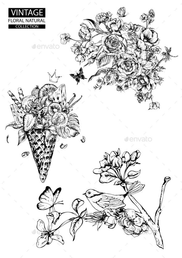 GraphicRiver Floral Outline Coloring Vector Vintage Collections 20621597 GraphicRiver Floral Outline Coloring Vector Vintage Collections 20621597