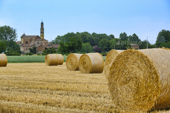 Rural landscape near Fidenza (Parma)