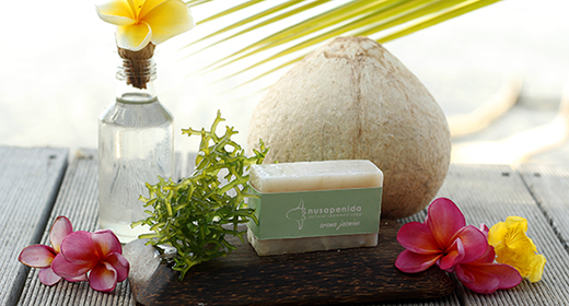 Noesa Soap - Nusa Berdaya