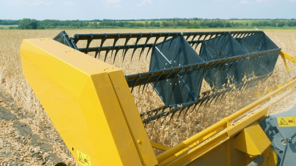 Seed Harvester Threshes Soybeans Seeds for Future Sowing alt