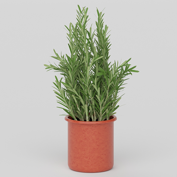 Vray Ready Potted - 3Docean 20626242