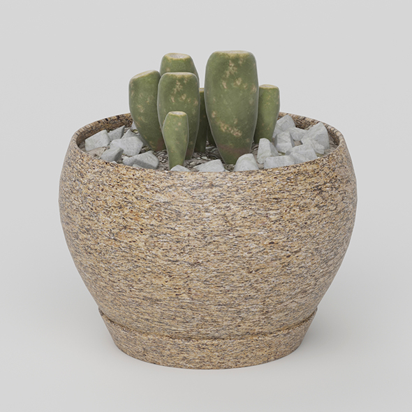 Vray Ready Potted - 3Docean 20626459