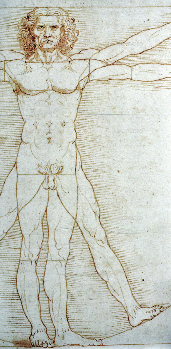 Leonardo da Vincis drawing of human anatomy