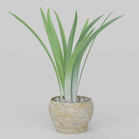 Vray Ready Potted Plant - 3DOcean Item for Sale