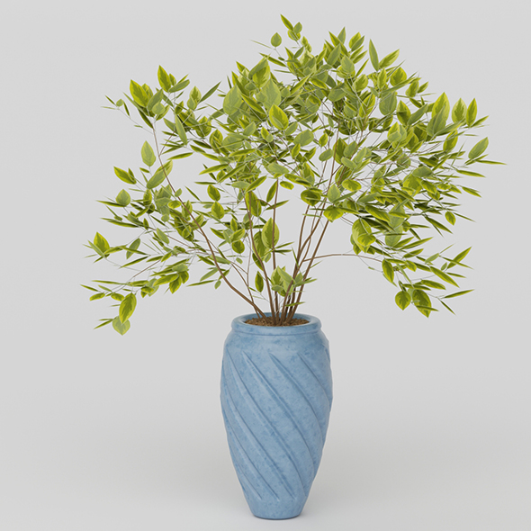 Vray Ready Potted - 3Docean 20626732