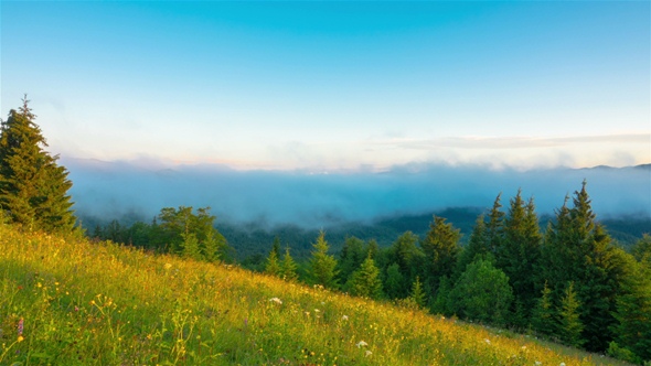 Misty Morning in the Mountains alt