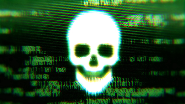 Skull Digital 6