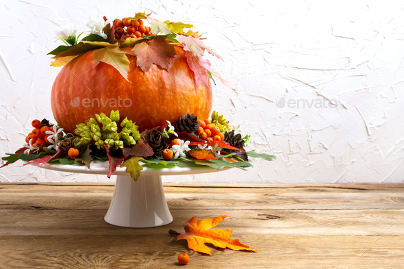 Thanksgiving table centerpiece with pumpkin, seeds and cones, co - Stock Photo - Images