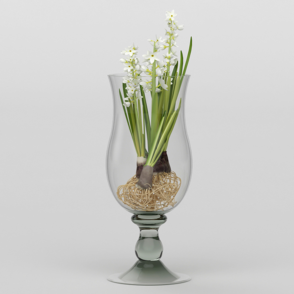 Vray Ready Potted - 3Docean 20646300
