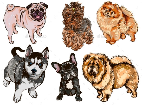 Set of Illustrations of Different Dogs