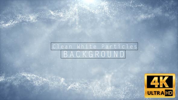 Clean White Particle Background