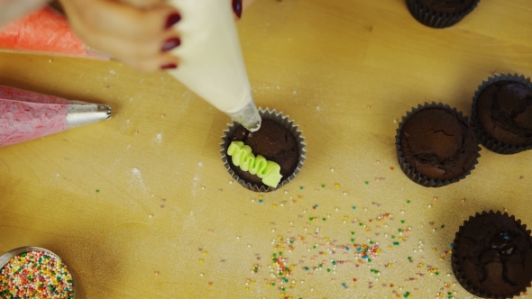 Young Woman Hands Decorating the Chocolate Cupcakes with Colored Cream Female Using the alt