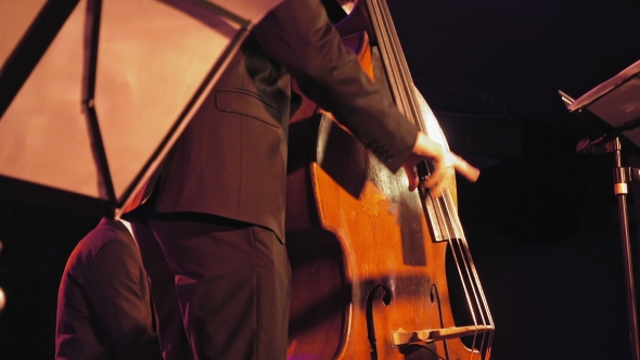 Double Bass Player on the Stage