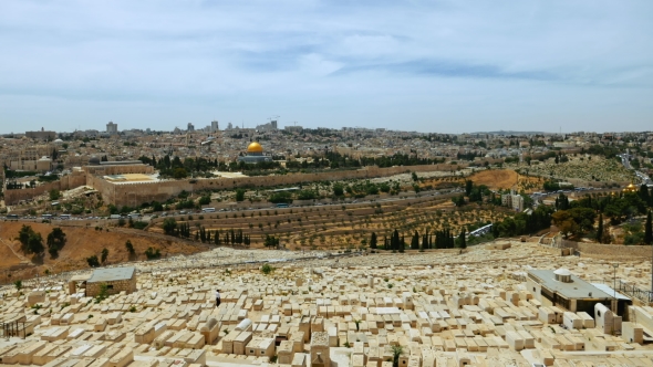 Jerusalem Olive Mountain View