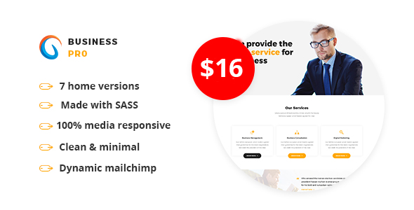 ThemeForest Business Pro Multipurpose Business HTML Template 20543297 ThemeForest Business Pro Multipurpose Business HTML Template 20543297