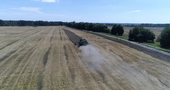 Aerial Top Shot of Harvesting of Wheat By Modern Harvester