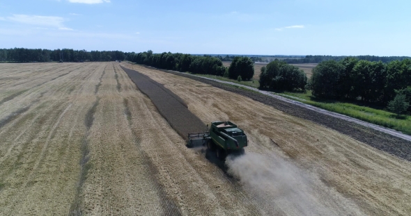 Aerial Top Shot of Harvesting of Wheat By Modern Green Harvester