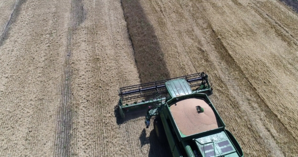 Aerial  Shot of Harvesting of Wheat By Combine
