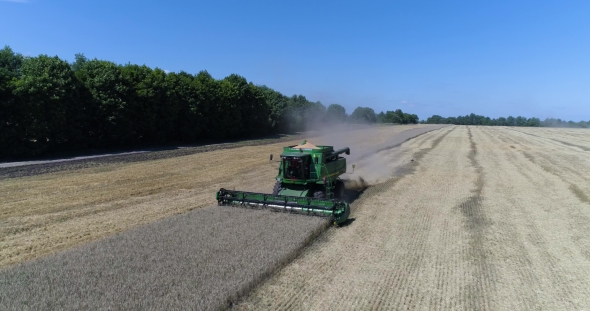 Aerial Side Recording Driving Harvester on the Field of Wheat