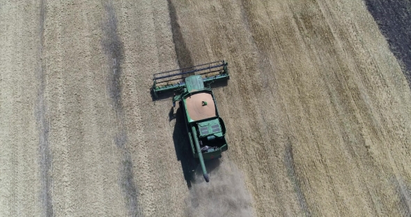 Aerial  Shot of Finish Harvesting of Wheat By Combine