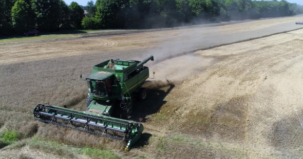 Aerial Circular View of Harvesting of Wheat with Two Combines on the Field