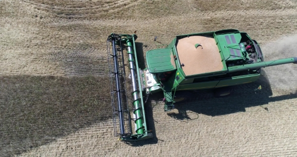 Aerial Top Shot of Harvesting of Wheat By Green Harvester
