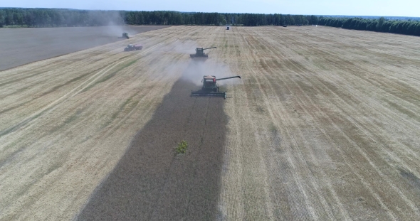 Aerial Top Shot of Thre Modern Green Harvesters Harvesting on the Wheat Field
