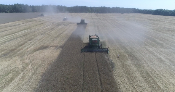 Aerial Top Shot of Thre Green Combines Harvesting on Wheat Field