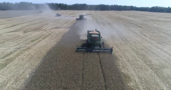 Aerial Top Shot of Thre Green Harvesters Harvesting on the Wheat Field