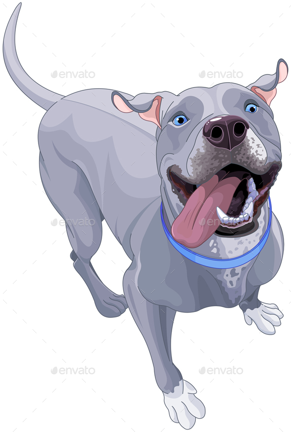 GraphicRiver Funny Pit Bull Dog 20651419 GraphicRiver Funny Pit Bull Dog 20651419