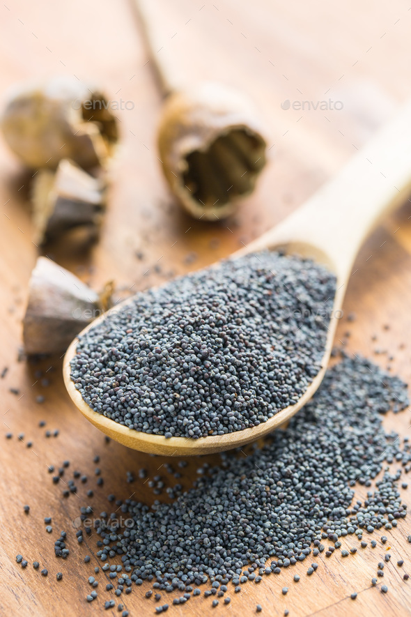 Dried poppy heads and seeds. Stock Photo by jirkaejc | PhotoDune