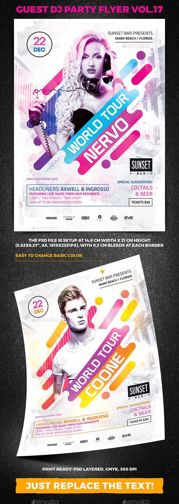 Guest DJ Party Flyer vol.17 - Clubs & Parties Events