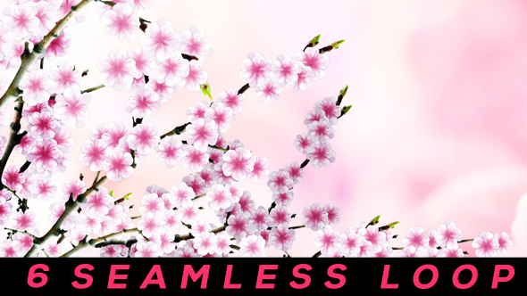 Sakura Background alt