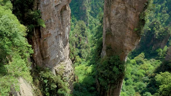 Pan Bottom Up High Rocky Stone Pillars Of Mountains In Forest Park Zhangjiajie alt