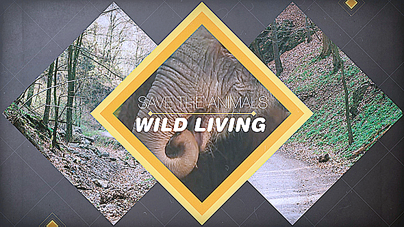 Wild Living - VideoHive 11565224