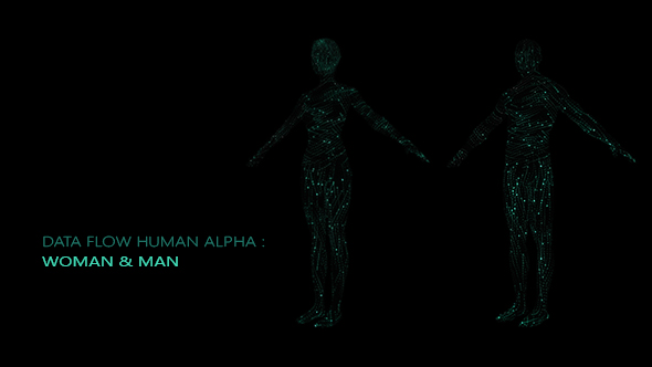 Data Flow Human Alpha