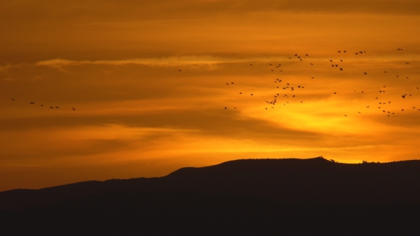 Orange Sky Sunset Over Mountain with Duck Birds Flying alt