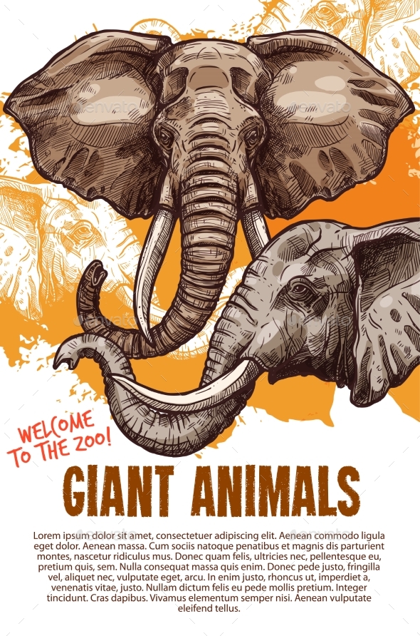 African Animals Elephants Zoo Vector Poster - Animals Characters