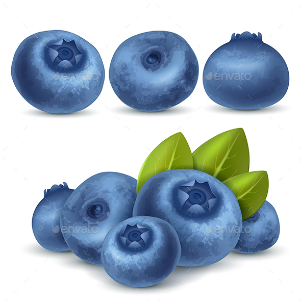 Ripe Blueberry - Food Objects