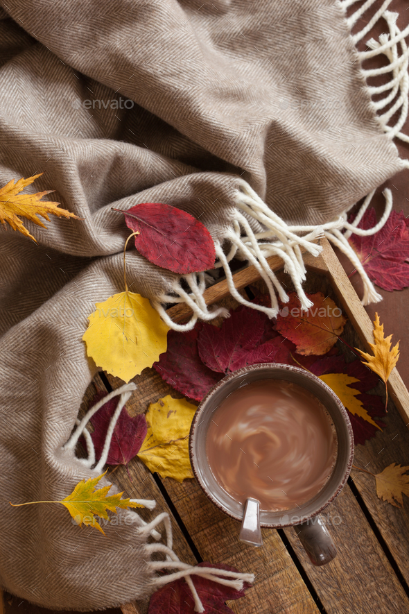 hot chocolate warming drink wool throw cozy autumn leaves