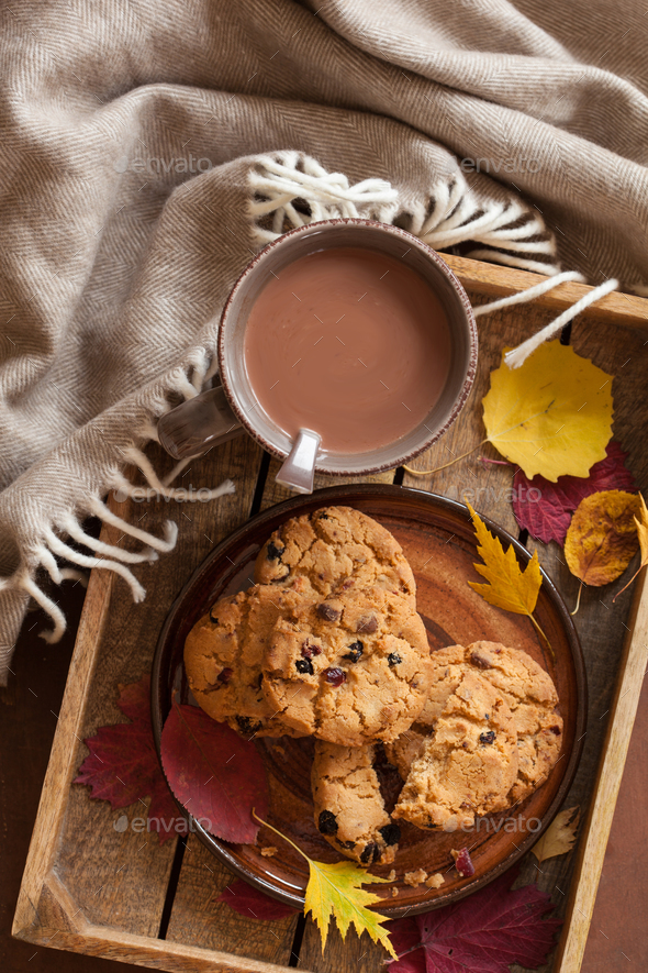 hot chocolate warming drink wool throw cozy autumn leaves cookie