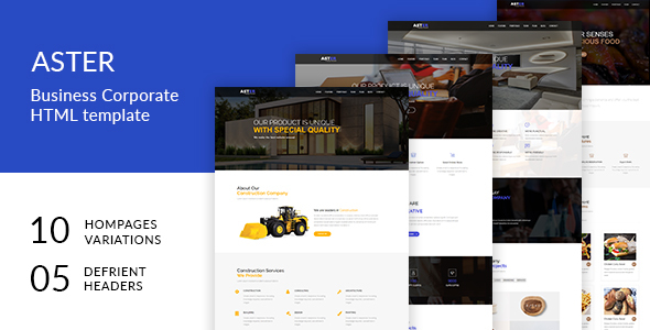 ThemeForest Aster One Page Multipurpose HTML Template 20551123 ThemeForest Aster One Page Multipurpose HTML Template 20551123