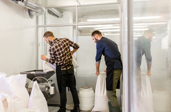 men with malt bags and mill at craft beer brewery - Stock Photo - Images
