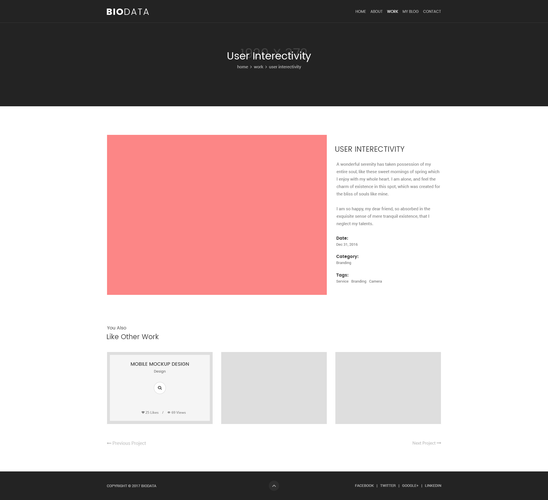 biodata design