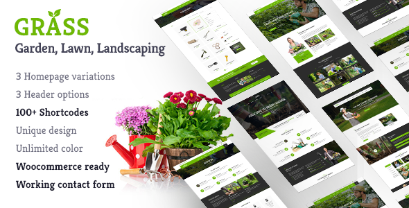 Landscape Garden | Grass Landscape - Business Corporate