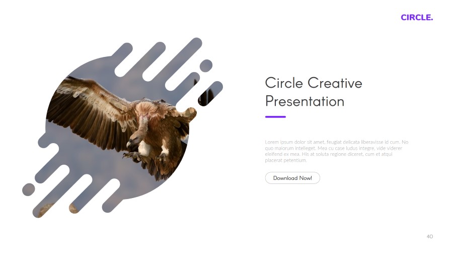 Circle Multipurpose Keynote Template