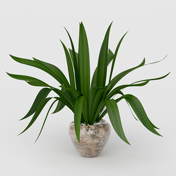 Vray Ready Potted - 3Docean 20692228